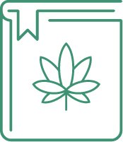  Инструкция для гровера: выращивание марихуаны в теплице